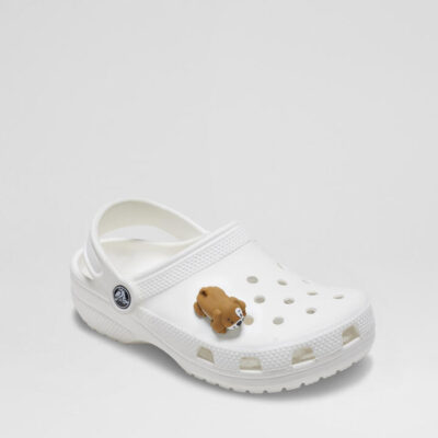 3 D Dog With Paws Multi Fabric Jibbitz
